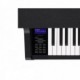 CASIO CELVIANO GRAND HYBRID GP-310BK