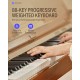 DONNER DDP-80 Plus Piano digital 88 teclas contrapesadas