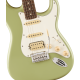 FENDER PLAYER II STRAT HSS RW BCG