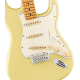 FENDER PLAYER II STRAT MN HLY