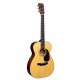 MARTIN 00-15M