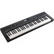 ROLAND GOKEYS5-GT GRAPHITE