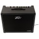 PEAVEY VYPYR X2