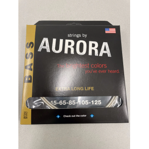 AURORA STRINGS BAJO CLEAR COAT SILVER 45-125