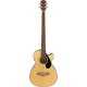 FENDER CB-60SCE NATURAL IL