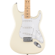 FENDER STANDARD STRATOCASTER MN OWT